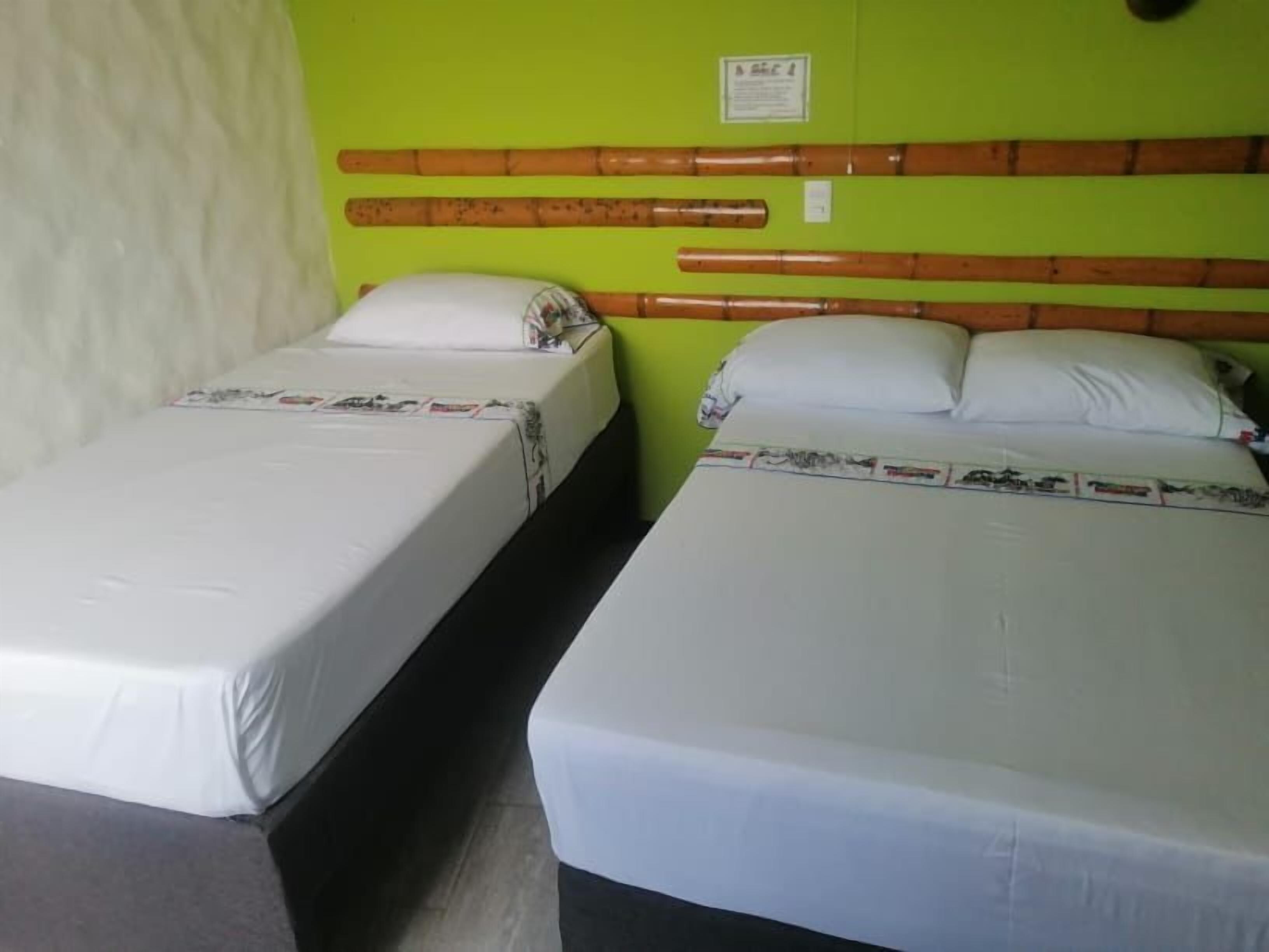 Two single beds with white linens, a green wall, and a wooden headboard.