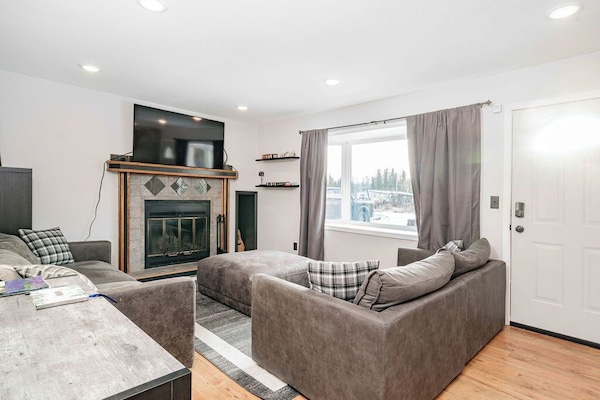 Smart TV, fireplace, books