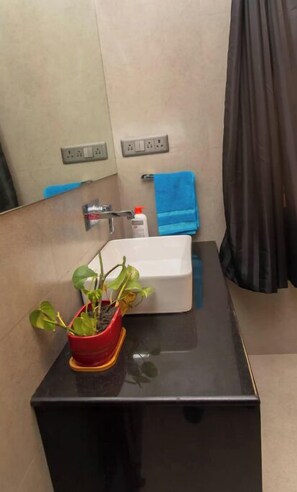 Shower, hair dryer