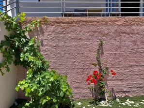 Vines and flowers adorn the exterior wall of this building.