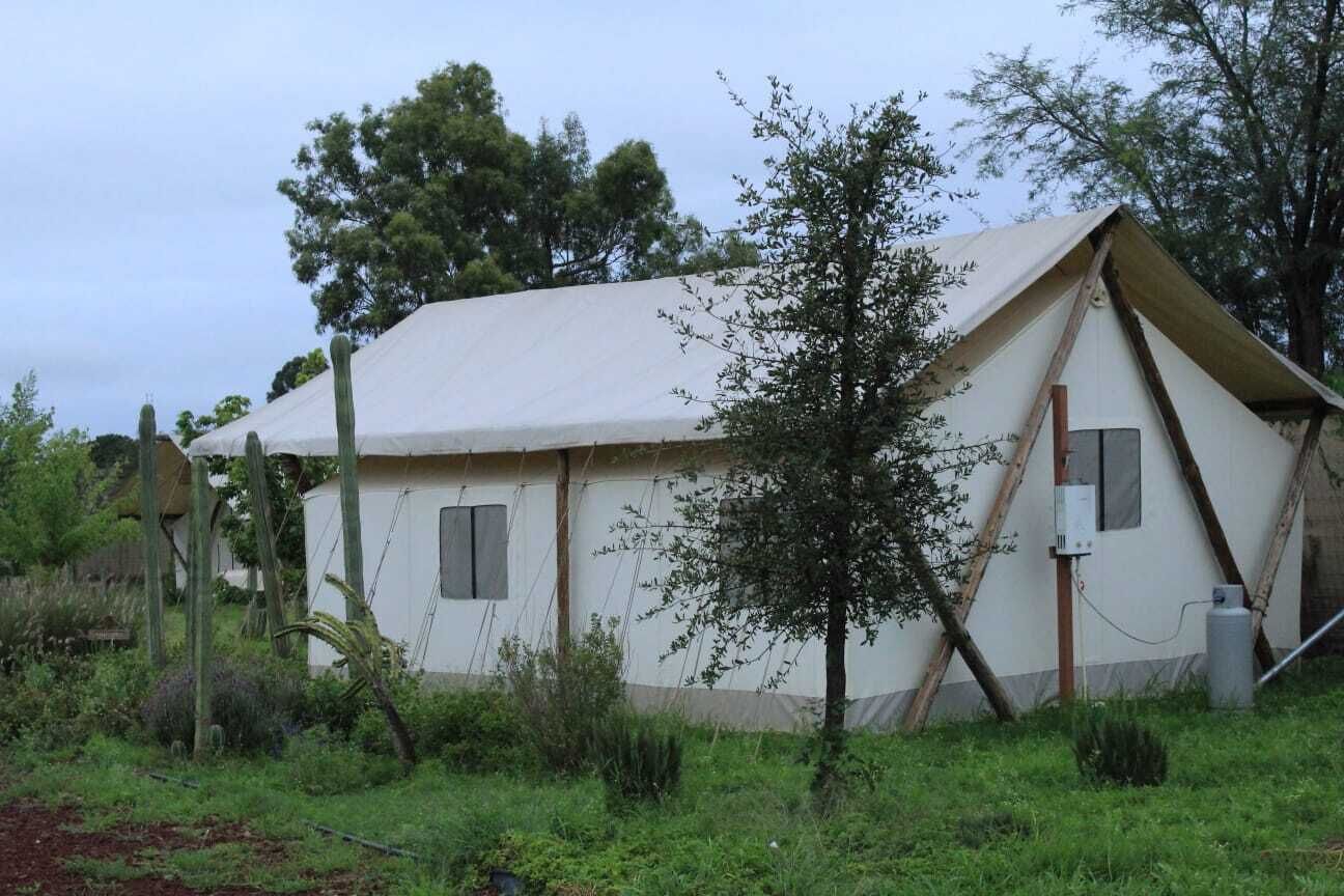 Una tenda a un piano con tetto piatto, immersa nel verde e tra alberi.