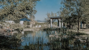A serene garden with a pond, a gazebo, and a tent. - Salterra Glamping (Tequisquiapan)