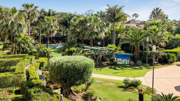A lush garden with palm trees, a well-maintained lawn, and a small pool area. - Apartment in Las Mimosas de Banús for 4 people | 22E (Puerto Banús - Marbella)