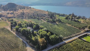 خريطة المنشأة