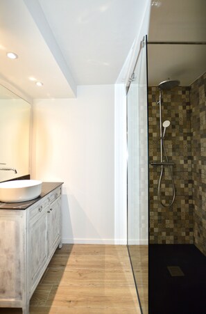Shower, hair dryer, soap, toilet paper