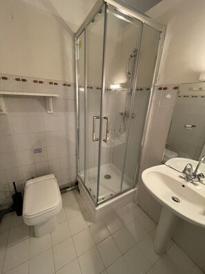Shower, towels, toilet paper