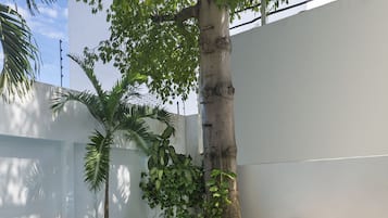 Piscina externa, funciona das 8h às 22h, espreguiçadeiras