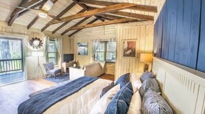 Smart TV, fireplace, Netflix, DVD player