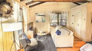 Smart TV, fireplace, Netflix, DVD player
