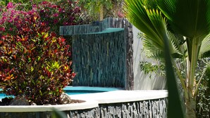 Un giardino curato con un muro in pietra, una piccola piscina e diverse piante.