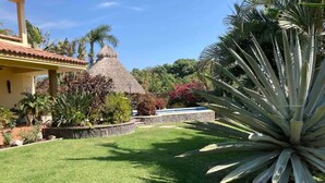 Ein gepflegter Garten mit einem strohgedeckten Gebäude, verschiedenen tropischen Pflanzen und blauem Himmel.