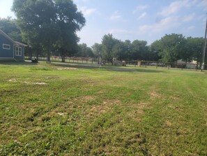 A grassy park area with trees, a fence, and a building.