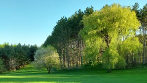 Un champ verdoyant, parsemé d’arbres, sous un ciel dégagé.