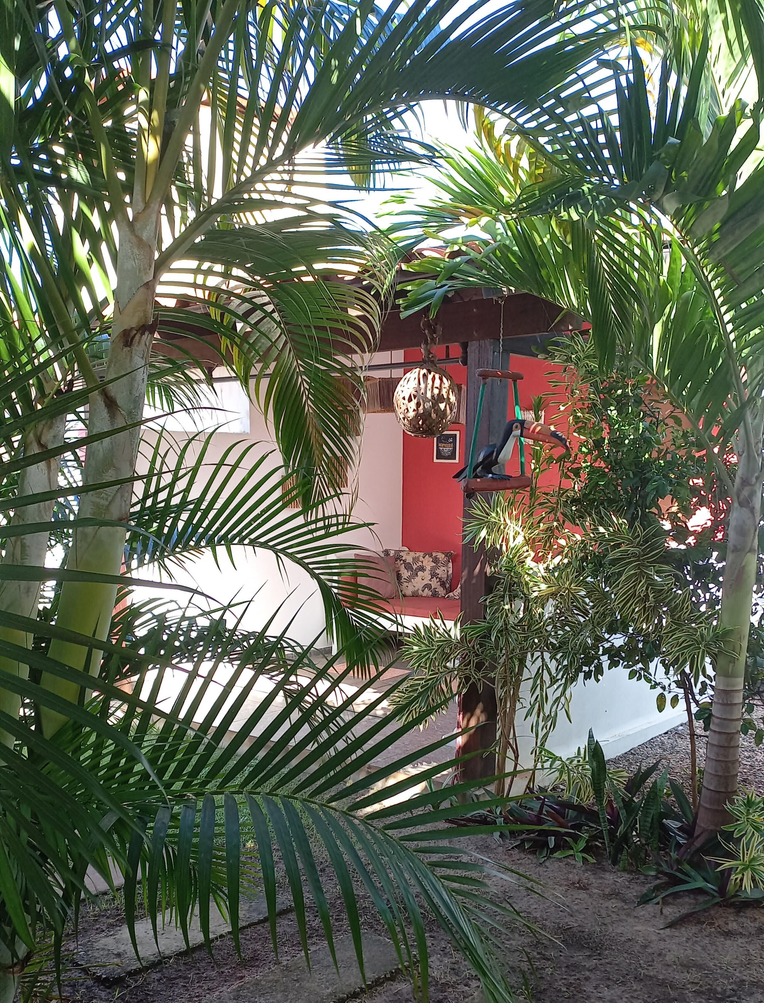 Um jardim tropical com palmeiras, um lustre pendurado e uma parede vermelha.