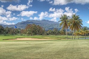 A golf course with a flag, palm trees, and mountains in the background.