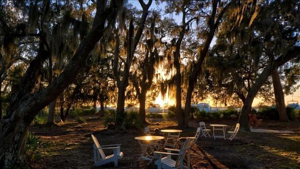 An outdoor seating area with tables and chairs, surrounded by trees with Spanish moss. - Moorings 31 - Sunset Spectacular<br>The Moorings at Jekyll Harbor Marina (Jekyll Island)