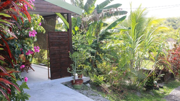 Un jardin avec une porte en bois, des plantes en pot et un chemin en béton.