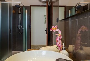 Shower, hair dryer, bidet, towels