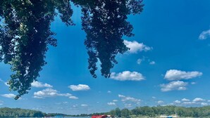 Un lago tranquilo con varios barcos amarrados a un muelle, rodeado de exuberante vegetación y un cielo azul despejado.