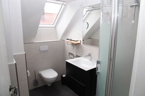 Une petite salle de bain dotée d’un puits de lumière, de toilettes blanches, d’un lavabo noir avec un miroir et d’un espace douche.