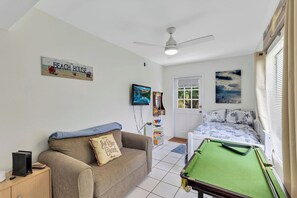 Televisión, chimenea, videojuegos y libros 