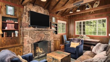 Smart TV, fireplace, books