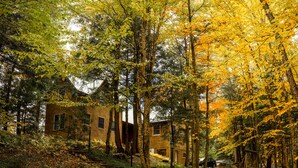Eine Holzdiele umgeben von Bäumen mit Herbstlaub.