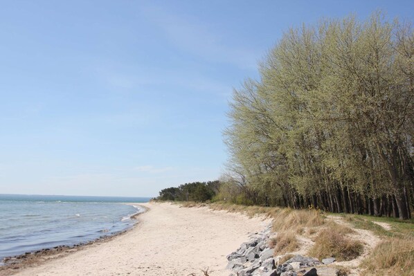 A sandy beach with a rocky path leading to a dense forest.