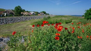 A coastal landscape with a stone wall, red poppies, and houses in the background. - Haus Südperd Ferienwohnung Strandwinde - Haus Südperd (Mönchgut)