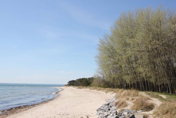 Una playa arenosa con un sendero rocoso que conduce a un bosque denso.