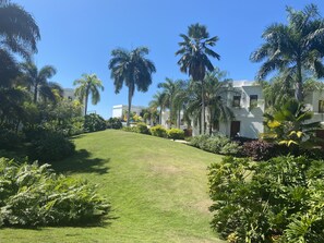 Parco della struttura