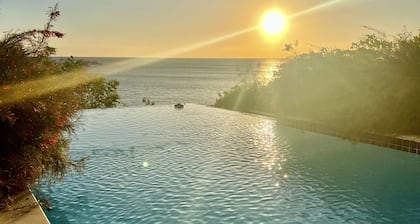 Villa Oceana-The Villas at Horned Dorset Primavera-Private Plunge Pool