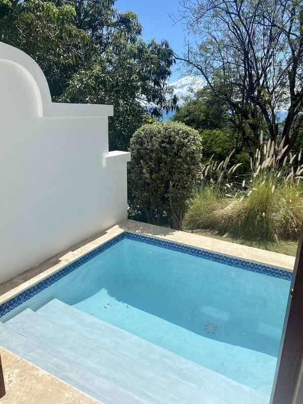 A swimming pool with a blue tiled edge, surrounded by a white wall and lush greenery.