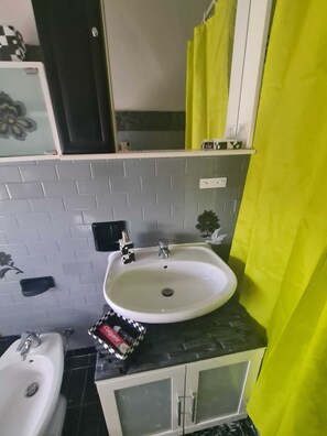 Combined shower/bathtub, bidet