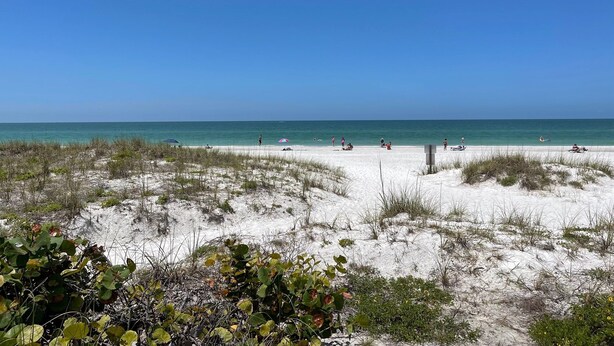 En strand med vit sand och gles vegetation.