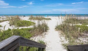 على الشاطئ، كراسي للتشمس، مناشف للشاطئ