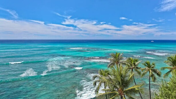 A clear view of turquoise ocean waters with visible coral reefs and a few palm trees in the foreground.