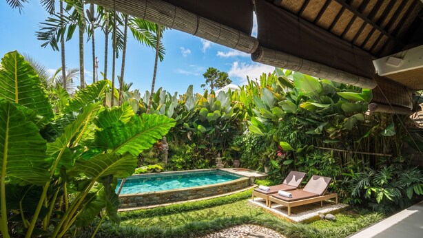 A pool surrounded by lush tropical plants, a wooden deck, and two lounge chairs. - Villa Tirtha Amertha Ubud (Ubud)