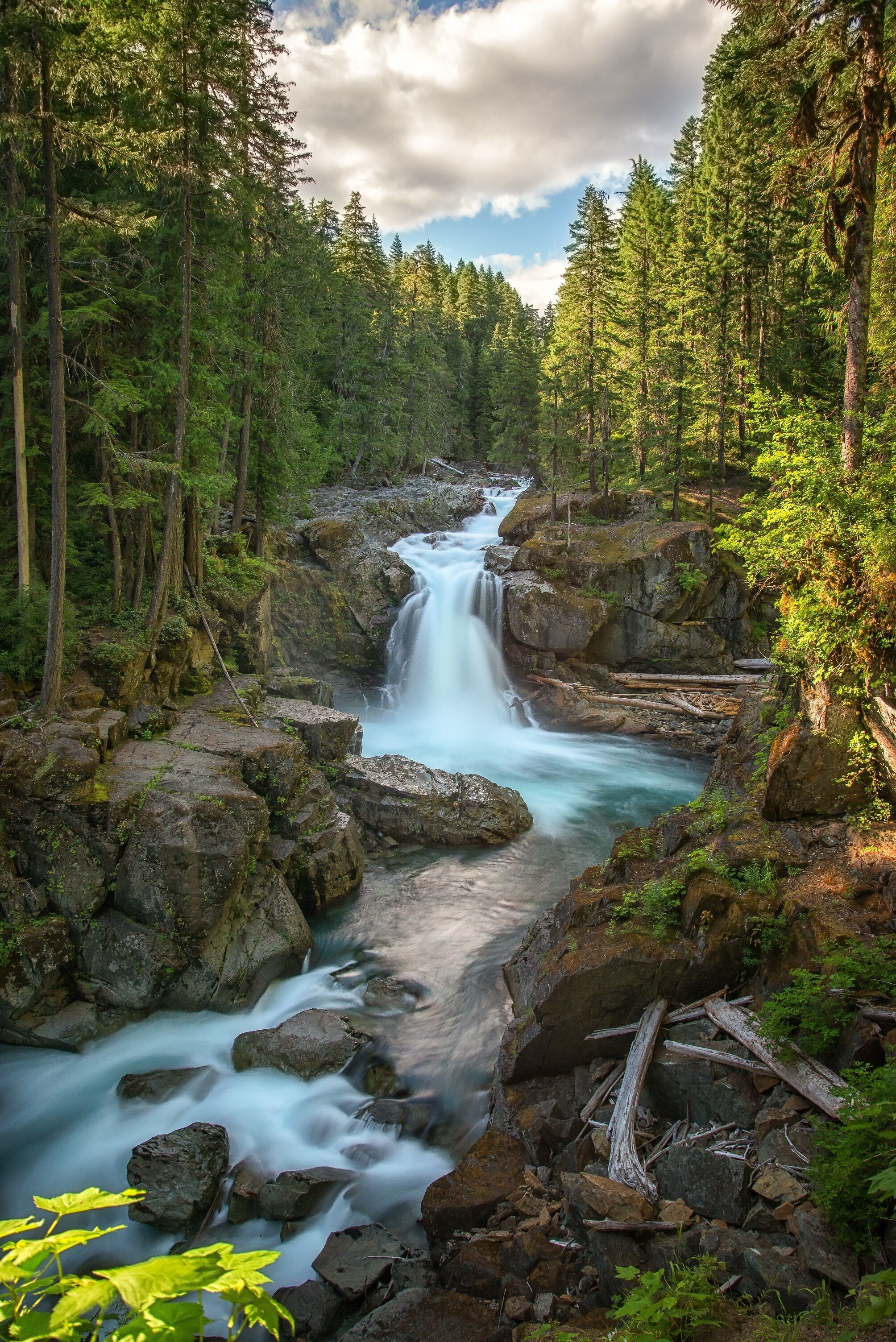 Una cascada rodeada de un bosque frondoso.