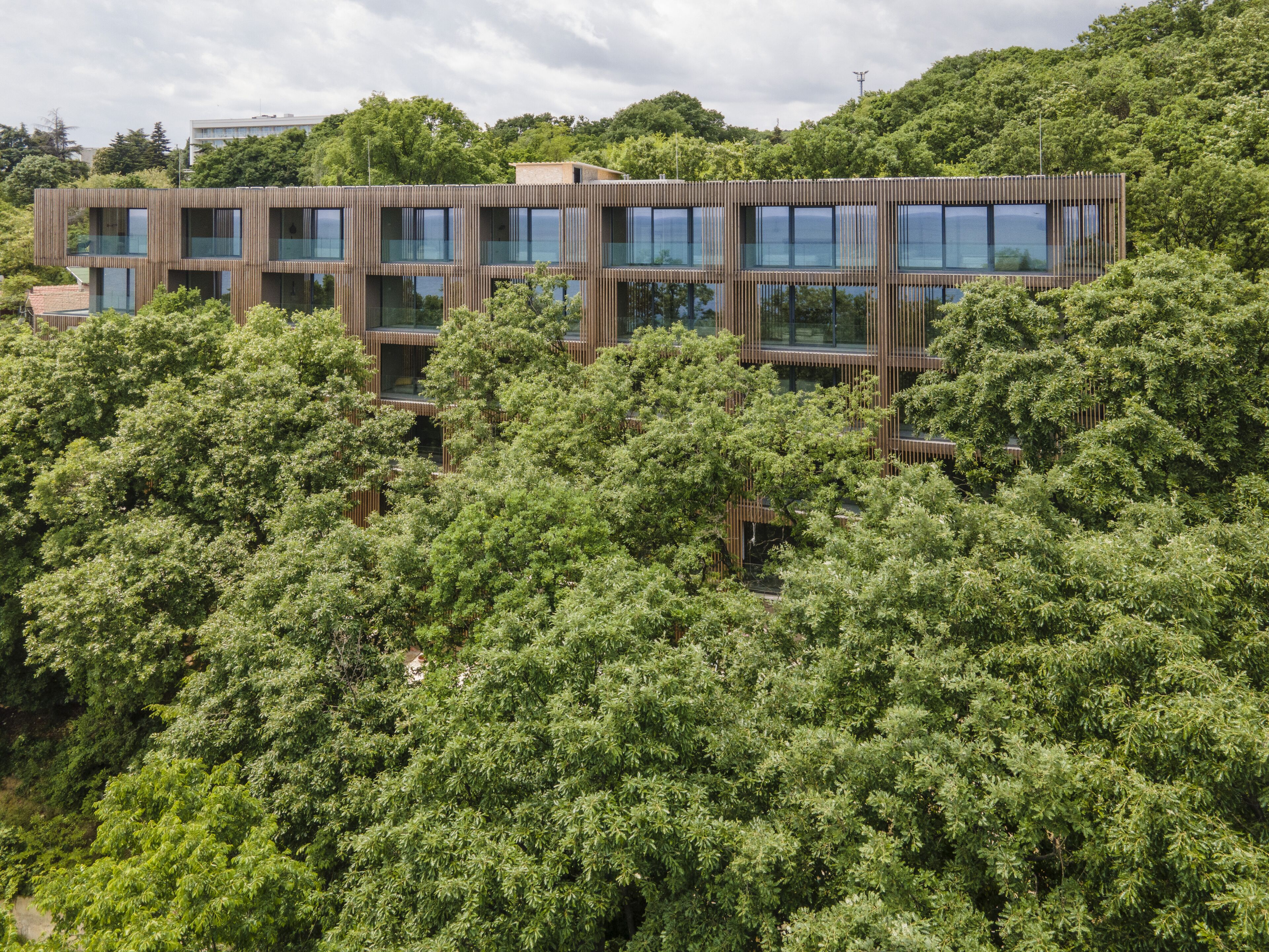 Foto - Umani Hotel - Free Beach - Free Parking