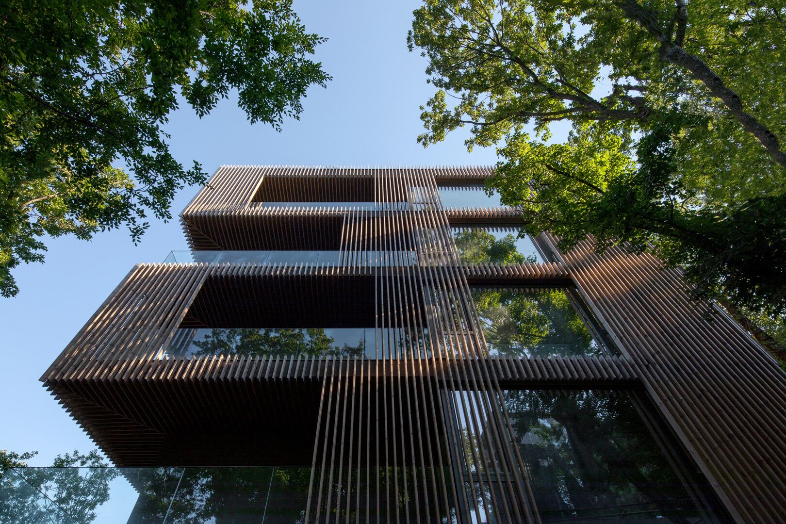 Foto - Umani Hotel - Free Beach - Free Parking