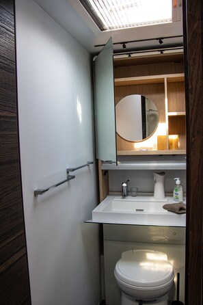 Shower, hair dryer, towels, soap - Garden-house: relax in Briffaut: Nievre - Bougogne (Saint-Hilaire-Fontaine)