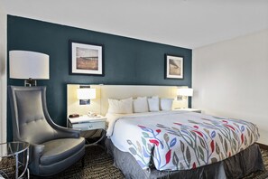 Habitación senior, 1 habitación | Escritorio, tabla de planchar con plancha y wifi gratis 