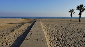 Uma praia com um calçadão pavimentado que leva ao oceano, palmeiras e céu claro.