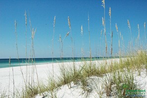 Enjoy a serene beach experience with swaying grasses and pristine white sand.