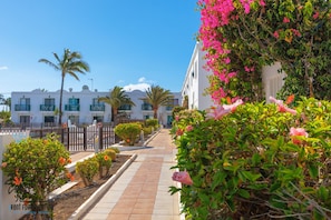 A pathway lined with greenery and a row of white buildings with balconies. - Ocean Pool View & WiFi by iRent Fuerteventura (Corralejo Playa)