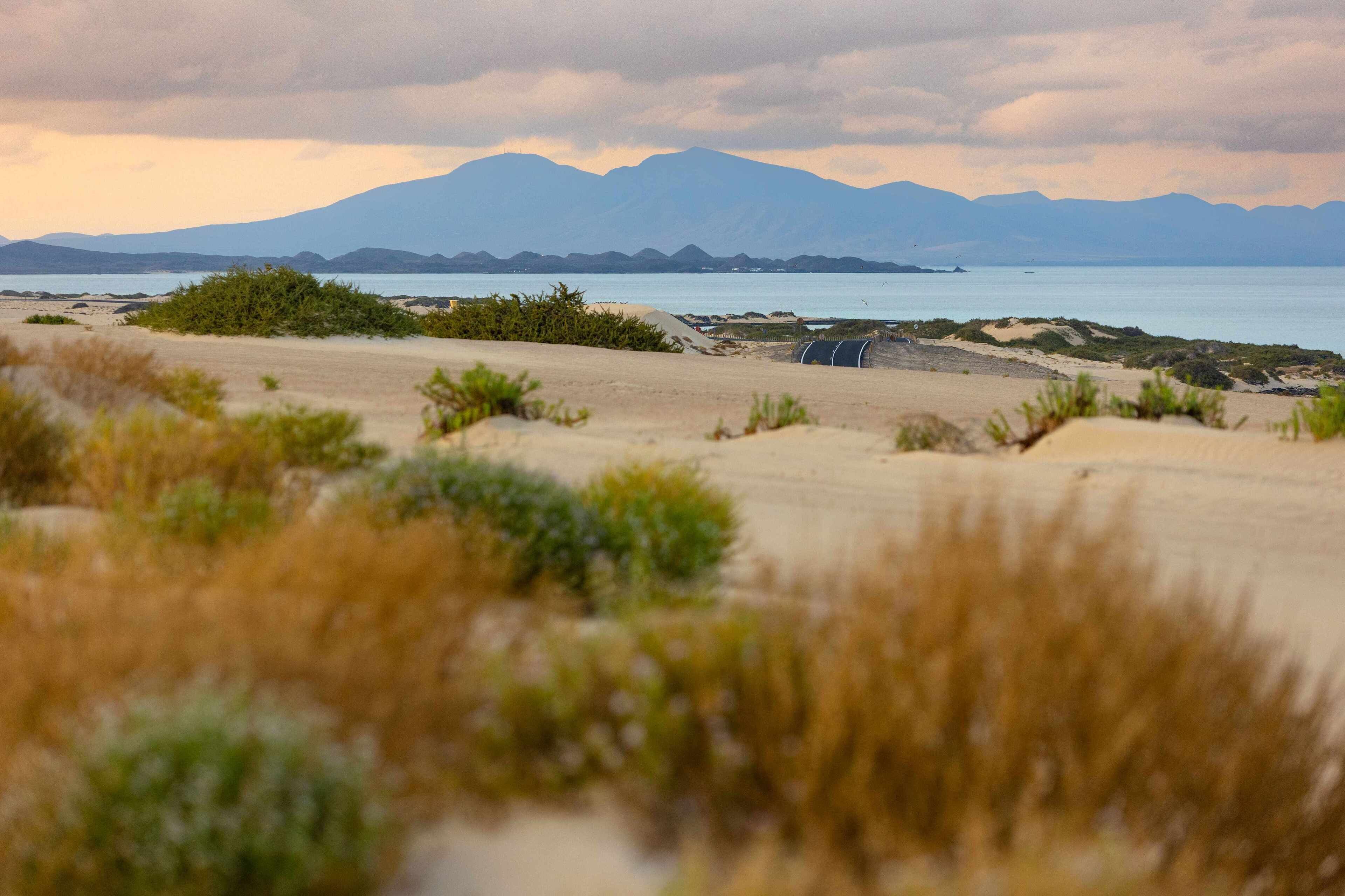 Una playa con dunas de arena, vegetación escasa y montañas al fondo.