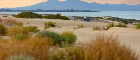 Una playa con dunas de arena, vegetación escasa y montañas al fondo.
