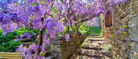 Overnattingsstedets uteområder