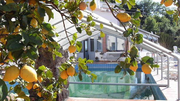 A poolside area with a view of a building, a tree with lemons, and a tiled pool. - Hotel Residence Parco Mare Monte (Casamicciola Terme)
